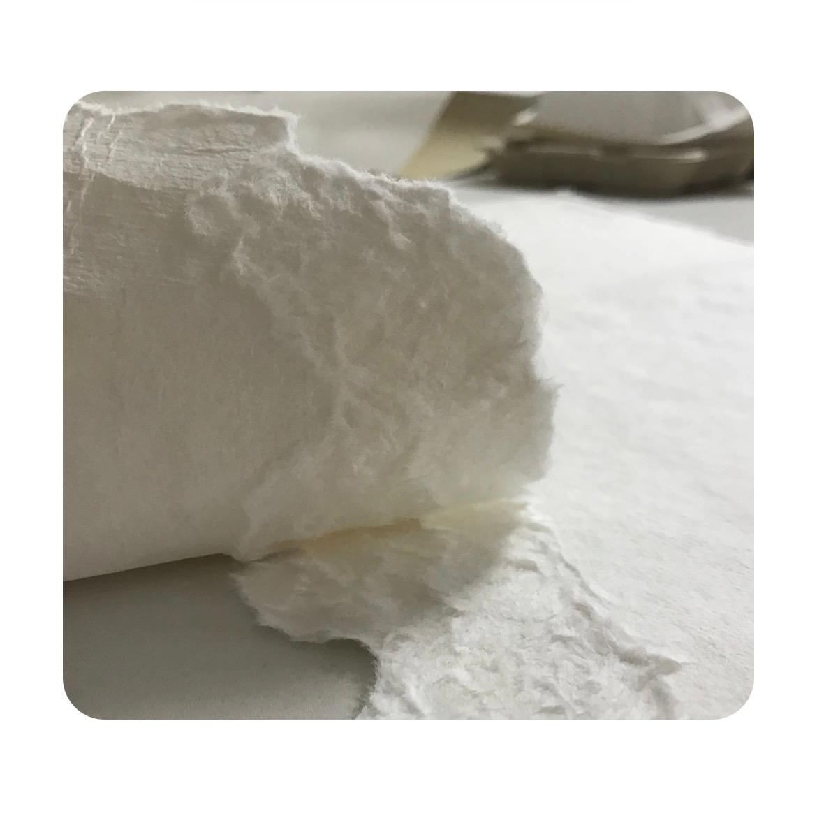 Premium Fluff Pulp