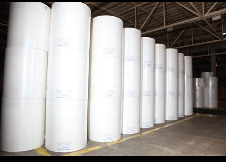Fluff Pulp — Softwood & Hardwood